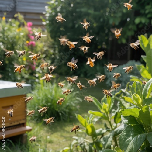 Busy bees swarming around a hive on a sunny garden day