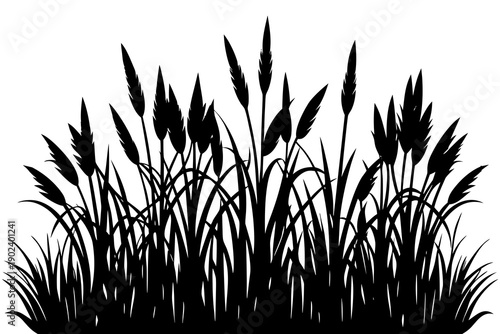 Wild Grass Meadow Silhouette Vector, Natural Landscape Illustration