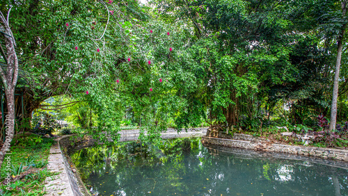 Tranquil tropical jungle park scene featuring a dark, reflective pond bordered by curved stone walls and pathways, overshadowed by an emerald green canopy and weeping vines with small magenta flowers.