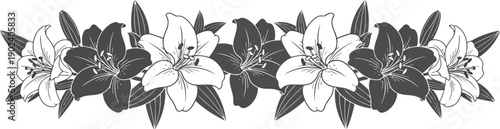 Lily Flower Border Vector Clipart in Black and White for Decorative Floral Design