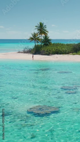 Aerial drone view of a small desert island with palm trees surrounded by crystal clear turquoise water. The perfect image for a tropical vacation getaway