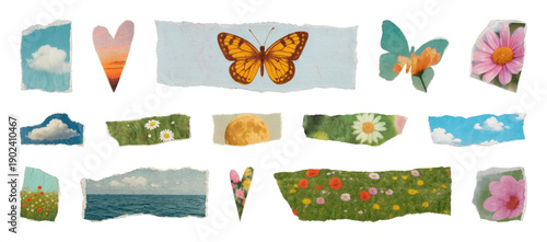 PNG Colorful nature-themed scrapbook elements on transparent background