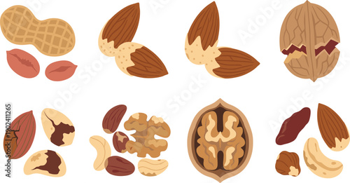 Assorted Nuts Illustration Vector Set with Peanut Almond Walnut Cashew Hazelnut Whole and Cracked Healthy Natural Snack Elements