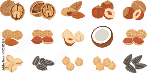 Assorted Nuts and Seeds Illustration Vector Set with Almond Peanut Walnut Hazelnut Coconut Sunflower and Healthy Natural Snack Elements