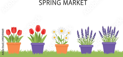 Spring market flowers in pots vector clipart, colorful floral illustration for seasonal design