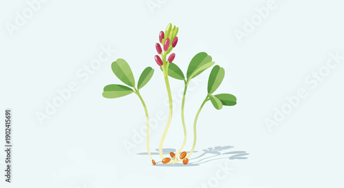 Sprouts with small buds and green leaves emerging from seeds