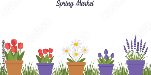 Spring market flower pots vector clipart with tulips daisies lavender in colorful containers