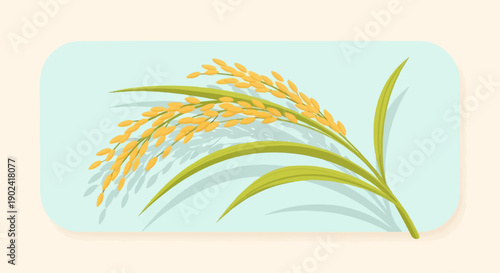 Ripe golden rice stalks with green leaves casting shadows