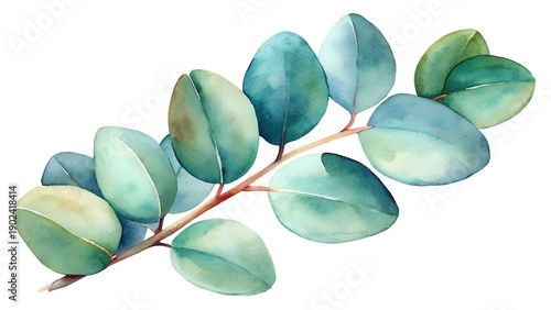 Delicate Watercolor Eucalyptus Branch With Blue Green Leaves On White Background