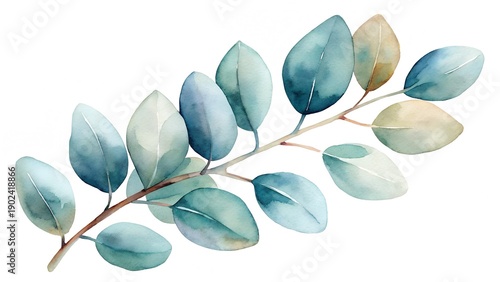 Eucalyptus Branch With Watercolor Leaves In Shades Of Blue Green And Beige Isolated On White