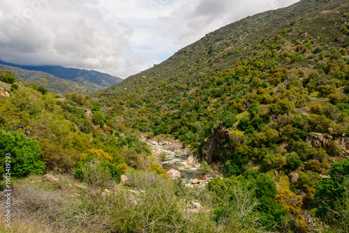 Green hills in Sequoia National Park. California, United States