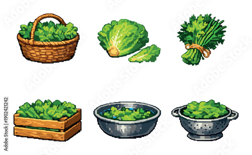 Vibrant assortment of fresh lettuce and greens in various containers