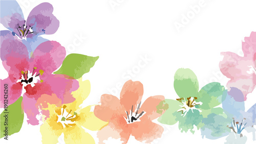Kolorowe akwarelowe kwiaty na przezroczystym tle, delikatne i radosne zdobienie.