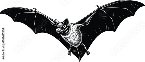 Flying Bat Hand Drawn Engraving Style Vector Illustration Isolated on White Background for Halloween Creepy Gothic Dark Nature and Wildlife Design Projects