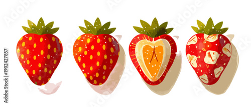 Cztery ilustracje truskawek, w tym przekrój i truskawka z nasionami, na białym tle.