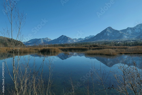 Biotop am Feistritzer Draustausee / Kärnten / Österreich