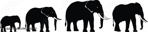 Four black elephant silhouettes in different sizes with white tusks and background
