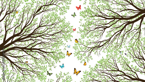 Overhead view of green tree canopies with many colorful butterflies flying in the bright open space between branches.