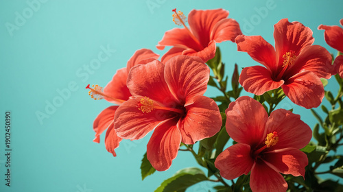Vibrant Tropical Hibiscus Floral Background with Exotic Summer Mood