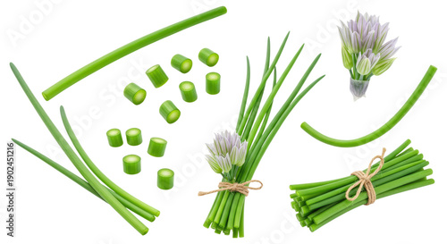Bundles, stalks, slices and blossoms of fresh green chives arranged on a transparent background