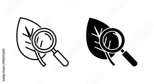 Magnifying glass over leaf icon, representing nature research, scientific study, and environmental exploration, detailed observation, dual style illustration