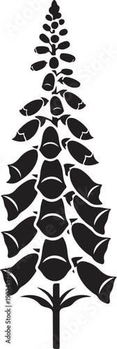 Silhouette of a lupine flower or lupin plant with multiple blooms in a vertical shape