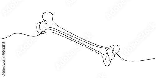 Bone single line art, continuous one line drawing of Isolated outline vector art, Continuous one line drawing of bone. simple human bone line art vector illustration. Bone toy for dog line art, pro.