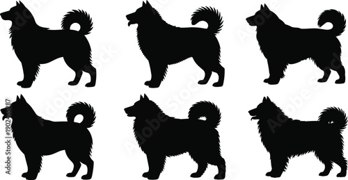 Dog silhouette collection, fluffy spitz breed poses, black canine profiles set, standing domestic pet shapes isolated on white background vector