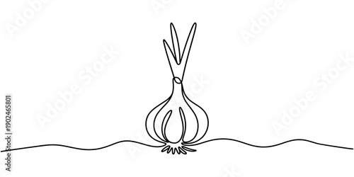 One line garlic vector illustration, Continuous one line drawing whole healthy organic garlic for plantation logo identity. Fresh cuisine seasoning concept for vegetable. Pro vector