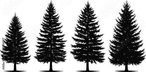 pine,tree,trees,forest,evergreen,conifer,nature,silhouette,black,white,vector,woodland,plant,ecology,environment,natural,landscape,illustration,collection,outdoor