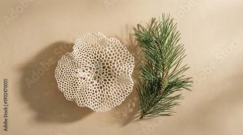 Natural Decor: Coral and Pine Arrangement. Concept featuring natural decor, coral structure, pine branch, home decor, minimalist design.