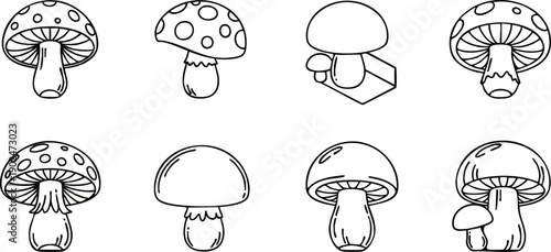 Mushrooms illustrations white outlines on black background botanical art