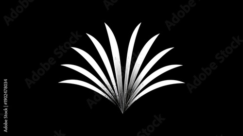 Elegant white abstract fanned design element on a black background, minimalist graphic illustration, modern decorative burst shape