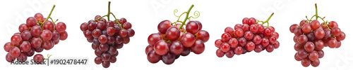 Quadro em tela our set of the bunches of red grapes isolated on white background PNG stock
