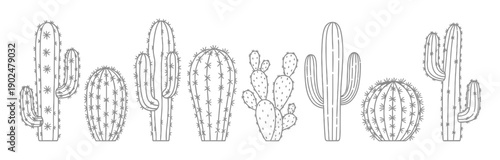 Cactus Collection Line Art Vector Illustration