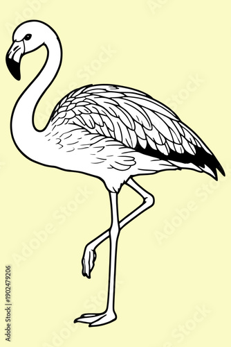 Andean Flamingo Standing on One Leg in Flat Line Art Style Vector Illustration