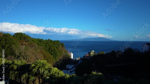 椰子の木々と海が見える高台　遠くに島が見える　眼下に街を望む