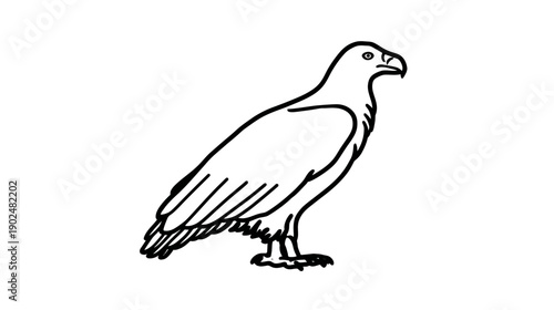 Stylized black and white line art drawing of an eagle standing, a powerful bird of prey illustration for design and emblem concepts.
