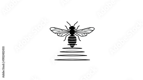 Minimalist bee illustration with abstract lines in black and white, representing nature, beekeeping, and eco-friendly concepts.