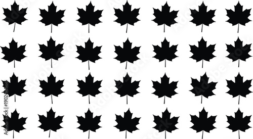 Collection of maple leaf silhouettes in repeating pattern isolated on gray background, autumn foliage nature design illustration set