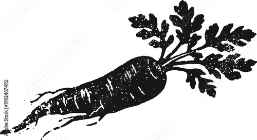 Black and white illustration of a single carrot with leaves, vintage vegetable drawing
