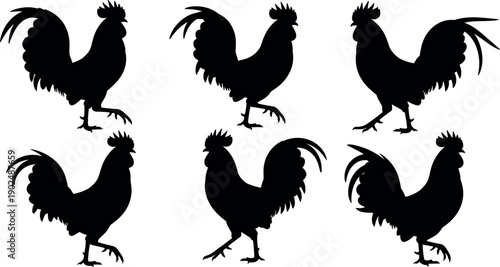 Set of six black rooster silhouettes isolated on white background for poultry farm logo branding and agriculture vector design elements.