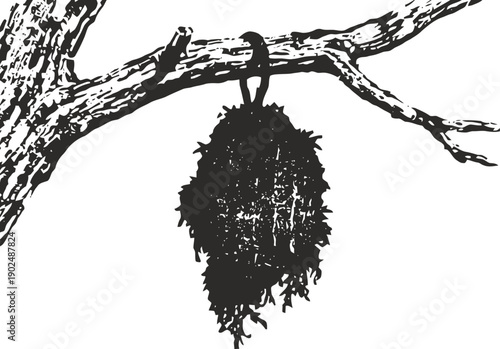 Silhouette of a bat hanging upside down on a tree branch at night