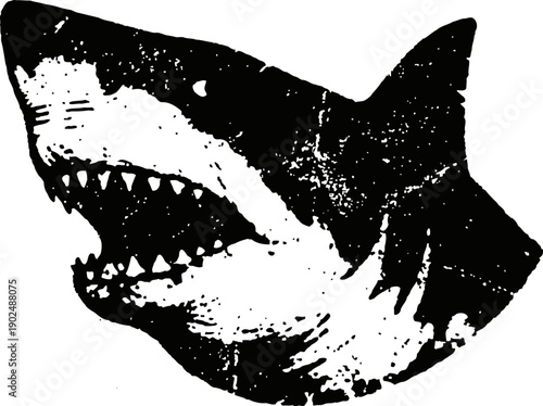 Aggressive shark head illustration with open mouth and sharp teeth in black and white grunge