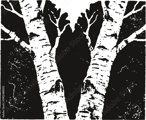 Birch tree trunks silhouette with textured bark abstract black and white nature composition