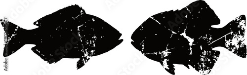 grunge distressed silhouette of two fish swimming facing opposite directions