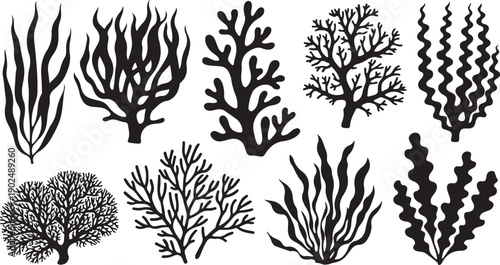 Collection of eight distinct black silhouettes of underwater plants and corals