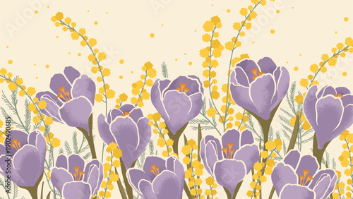 Spring banner with purple blooming crocuses and mimosa branches. Hand draw textured flowers to Design greeting cards, posters for Mother's Day, Women's Day, and seasonal spring backgrounds.