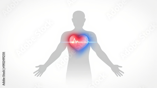 Silhouette human heart health cardiology heartbeat medical anatomy healthcare wellness illustration glowing pulse body medicine healthy concept life hospital clinic science biology chest organ