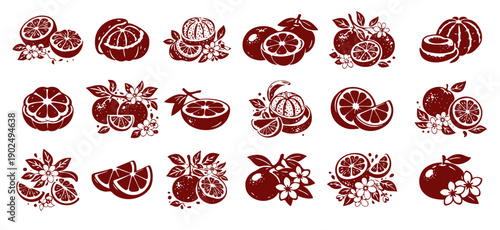 Chinese paper cut style orange citrus fruit icon set isolated on white background